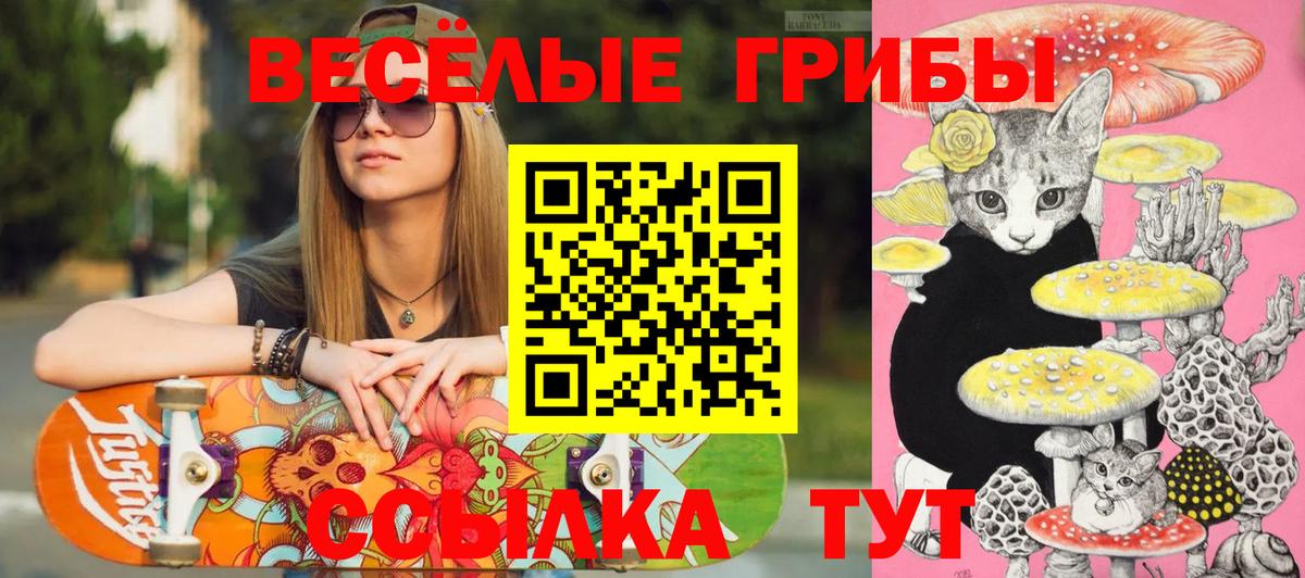 Псилоцибиновые грибы Psilocybine cubensis Звенигород
