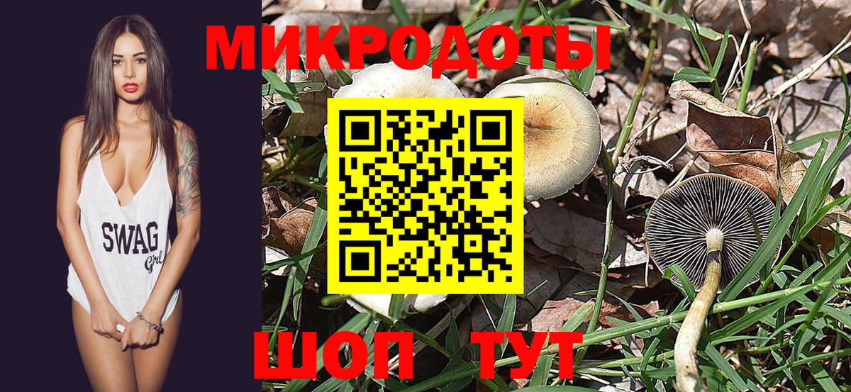 Псилоцибиновые грибы MAGIC MUSHROOMS  Вход с VPN  Псилоцибиновые грибы Cubensis  Звенигород 